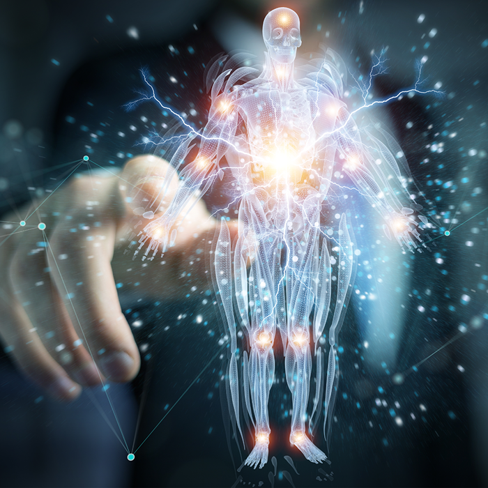 Disease background: Image of a man touching an interactive screen. An image of the human body is displayed on the screen.  