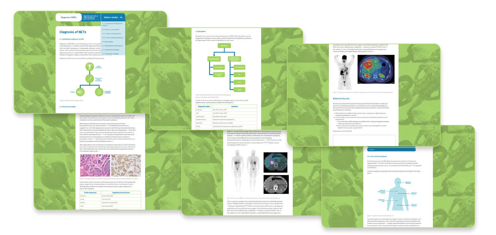 Image showing 6 example screenshots from course modules.