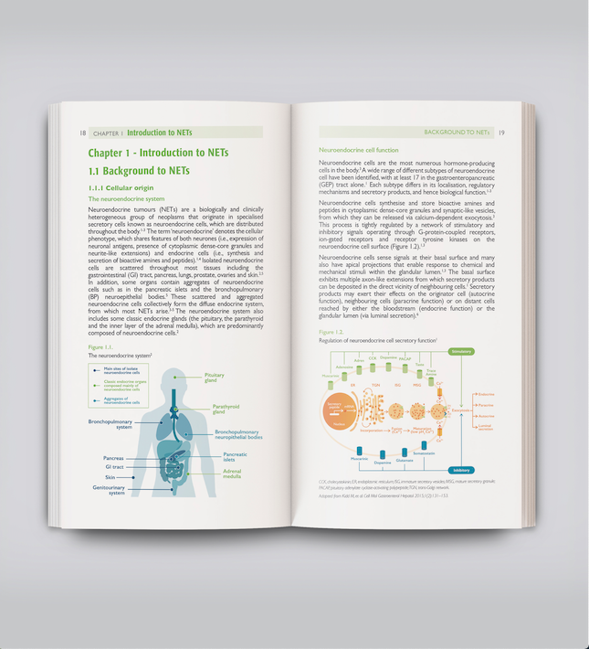 To receive a copy of the handbook click below: Image of a pocket handbook for PRRT.