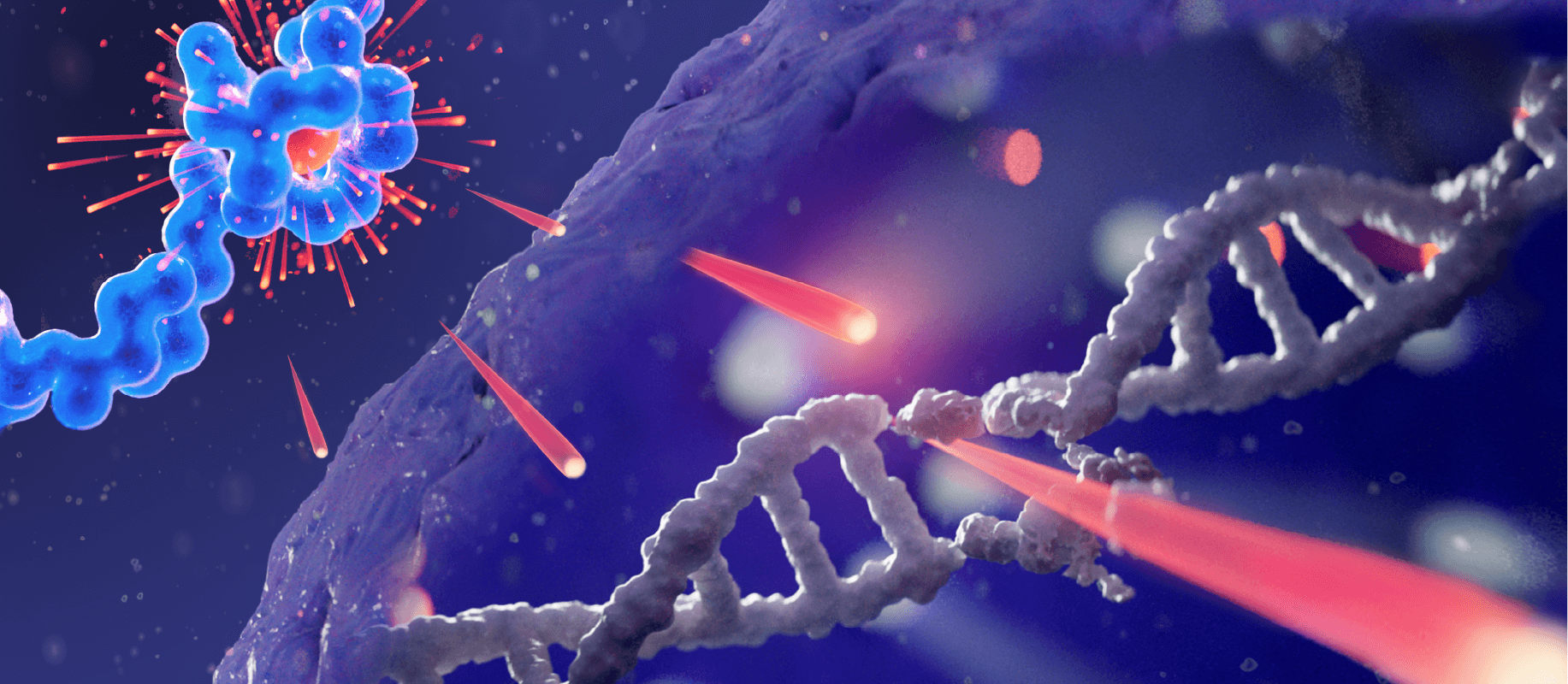 Image to highlight how Lutetium-177 emits DNA-damaging radiation within the cell causing single- and double-stranded DNA breaks in targeted cells as well as surrounding cells.