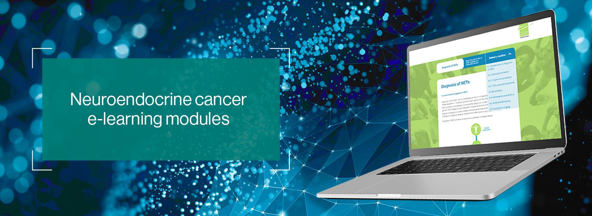 Top banner. Image of an example course module displayed on a laptop. Neuroendocrine cancer learning modules.